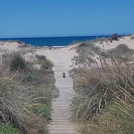 Meerblick Montgo-denia * Дения